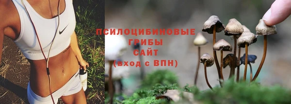 гашиш Алзамай