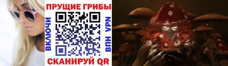 Псилоцибиновые грибы Magic Shrooms Павлово