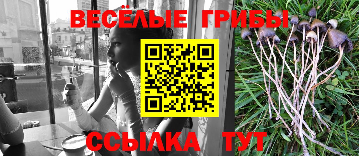 Павлово  Галлюциногенные грибы GOLDEN TEACHER  Вход с VPN 